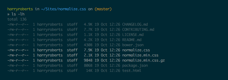 Screenshot showing filesizes of compressed and uncompressed versions of Normalize.css